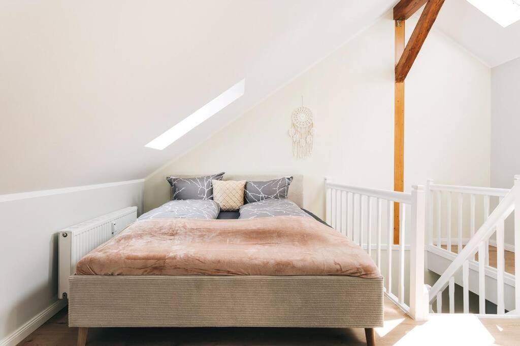 Tip! Toplage In Dresden! Moderne 100 Qm Ferienwohnung Fuer Familien Und Kleine Gruppen Εξωτερικό φωτογραφία